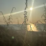 Cichy Zakatek Chata *
