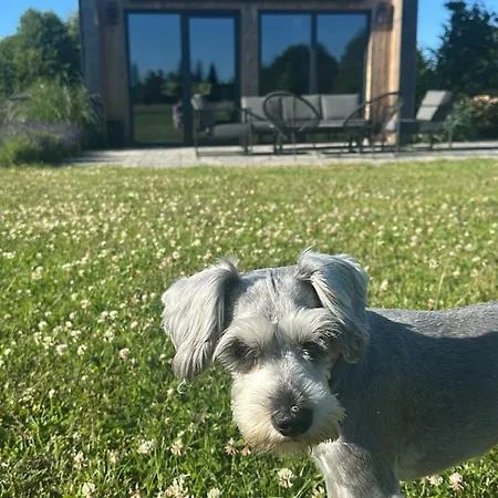 Cichy Zakatek Alojamento de Turismo Selvagem Sasino