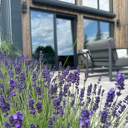 Cichy Zakatek Alojamento de Turismo Selvagem Sasino