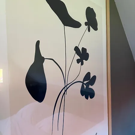 Cichy Zakatek אכסניה *