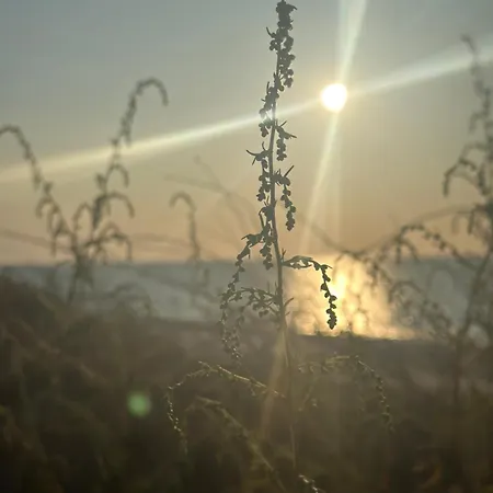 Cichy Zakatek אכסניה *