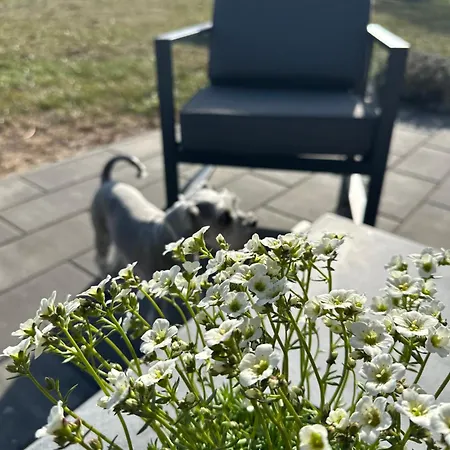 Cichy Zakatek Деревянный коттедж