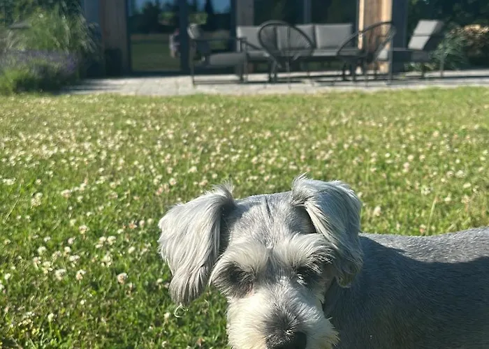 Cichy Zakatek Lodge Sasino