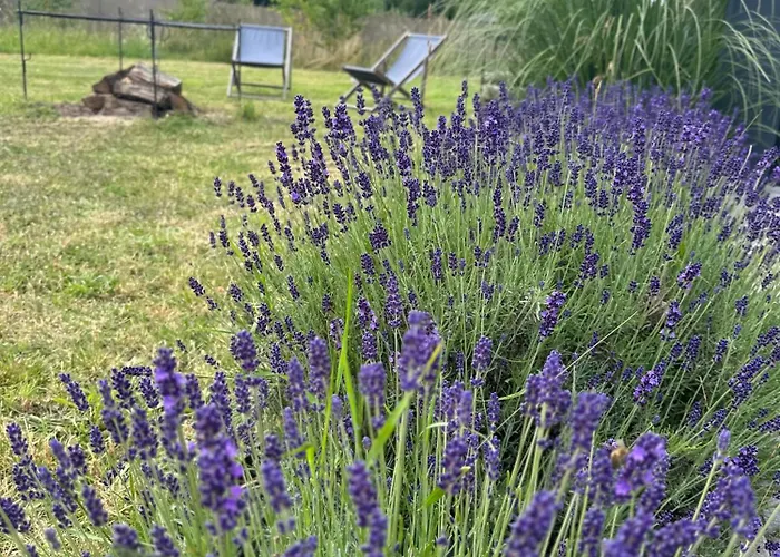 Cichy Zakatek Lodge *