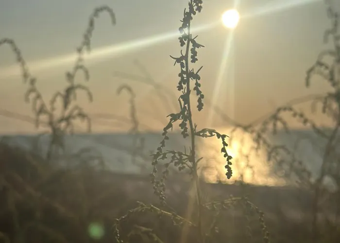 Cichy Zakatek Lodge *